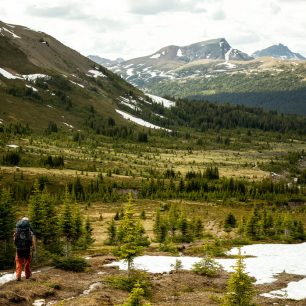 Skyline Trail, Alberta, Kanada