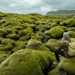 Jan Kasl (autoportret) / South coast, Island