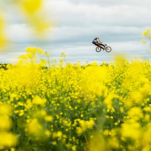 David Godziek / Uppsala, Švédsko. Projekt: Field trippin'