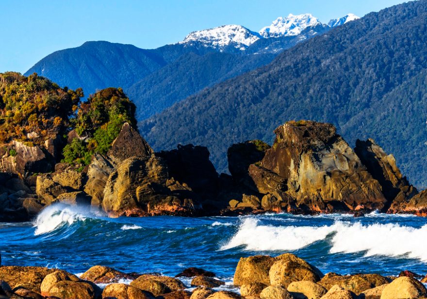 Záliv Martins Bay, Hollyford Track