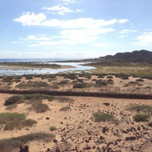 Isla de Lobos