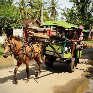 Tradiční povoz, Lombok