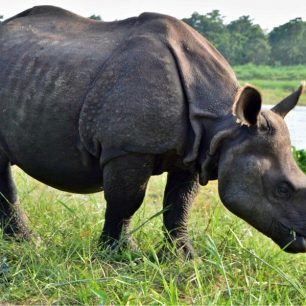 Národní park Chitwan