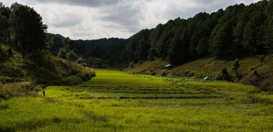 První scenérie, na kterou narazíte, jsou přilehlé rýžové pole poblíž Kalaw. 