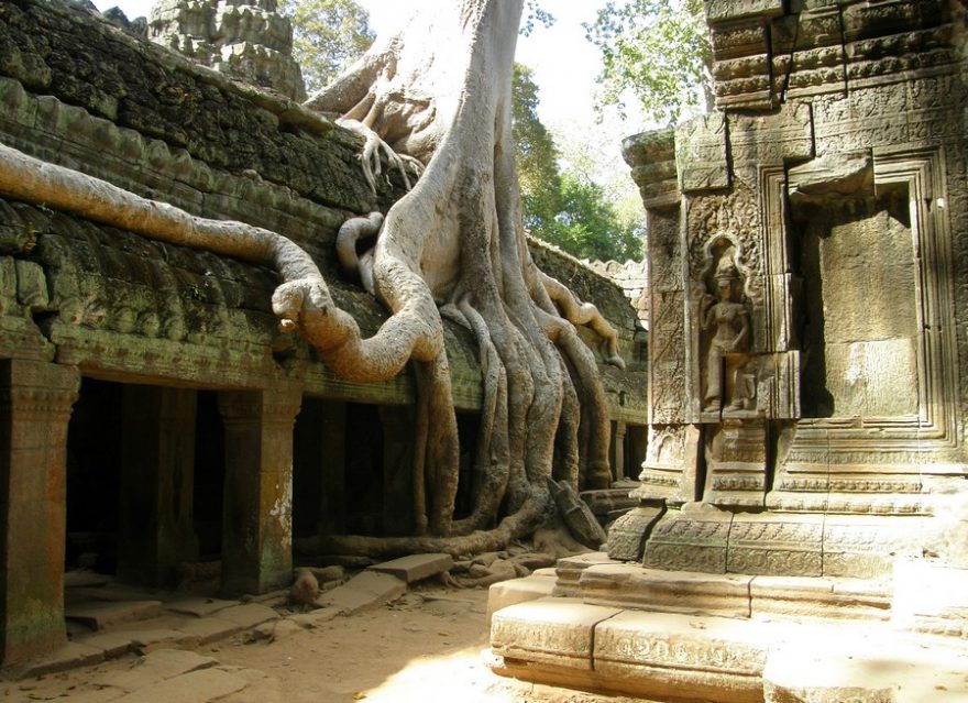 Chrám Ta Prohm obrůstají kořeny stromů