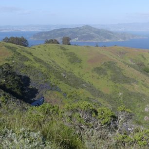 Treky v kopcích kolem Golden Gate