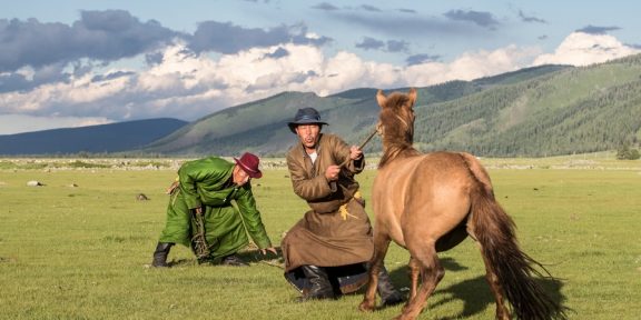 Jak se naučit mít rád Mongoly