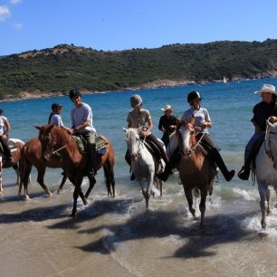 Užijte si Korsiku z koňského sedla